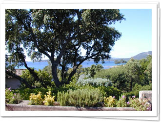  Golfe Pinarello pr�s Porto-Vecchio villa 6 personnes 100 m. plage grande terrasse vue magnifique sur Golfe et montagnes s�jour 3 chambres cuisine am�ricaine salle de bains, WC, douche ext�rieure barbecue lave-linge lave-vaisselle micro-ondes cuisini�re
